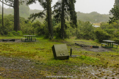 Hosmer Grove Campground in Haleakala National Park in Hawaii