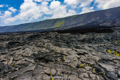 Alanui Kahiko in Hawaii Volcanoes National Park in Hawaii