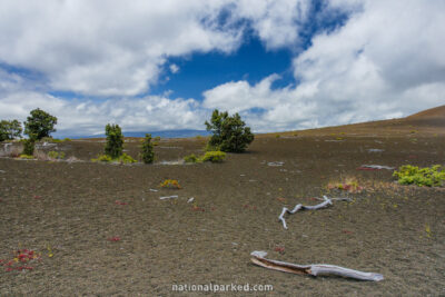 Devastation Trail in Hawaii Volcanoes National Park in Hawaii