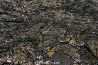 Holei Pali in Hawaii Volcanoes National Park in Hawaii