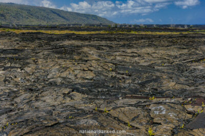 Holei Pali in Hawaii Volcanoes National Park in Hawaii