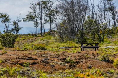 Kulanaokuaiki Campground in Hawaii Volcanoes National Park in Hawaii