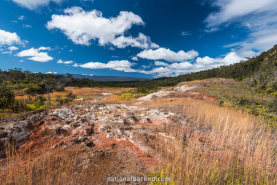 Sulphur Banks Trail in Hawaii Volcanoes National Park in Hawaii