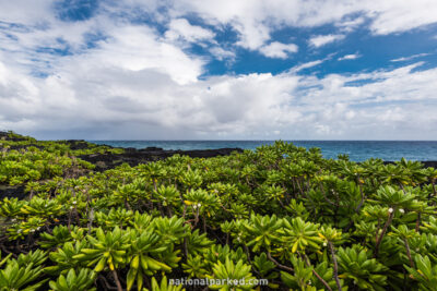 Volcanic Coast in Hawaii Volcanoes National Park in Hawaii