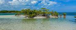 Biscayne National Park