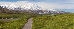 Denali National Park