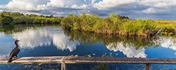 Everglades National Park