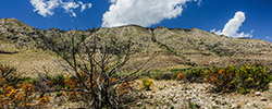 Guadalupe Mountains National Park