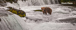 Katmai National Park