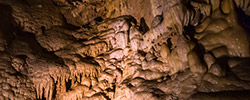 Mammoth Cave National Park