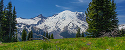 Mount Rainier National Park