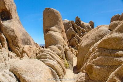 Arch Rock Nature Trail in Joshua Tree National Park in California