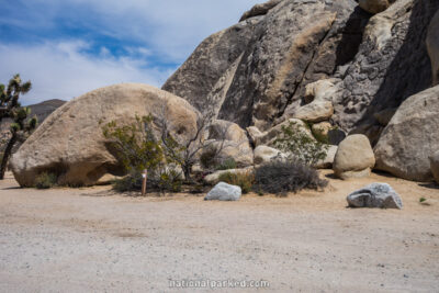 Belle Campground in Joshua Tree National Park in California