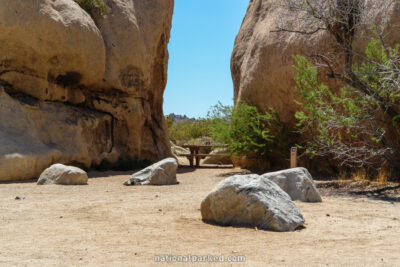 Belle Campground in Joshua Tree National Park in California