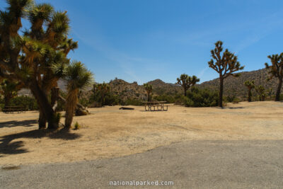 Black Rock Campground in Joshua Tree National Park in California