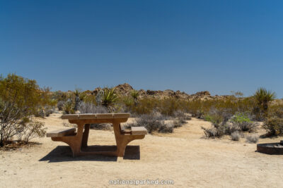 Cottonwood Campground in Joshua Tree National Park in California