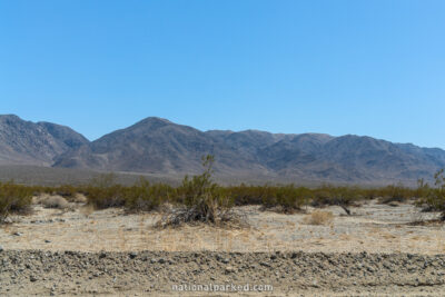 Fried Liver Wash in Joshua Tree National Park in California