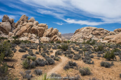 Hall of Horrors, Joshua Tree National Park, California