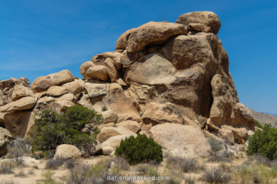 Hemingway Area in Joshua Tree National Park in California