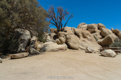 Hidden Valley Campground in Joshua Tree National Park in California