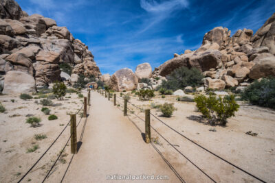 Hidden Valley Nature Trail, Joshua Tree National Park, California