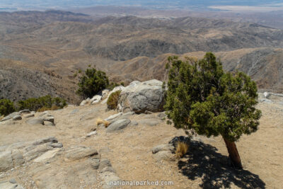 Keys View in Joshua Tree National Park in California