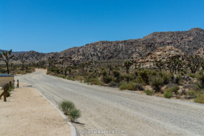 Lost Horse Road in Joshua Tree National Park in California