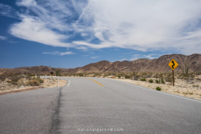 Pinto Basin Road, Joshua Tree National Park, California