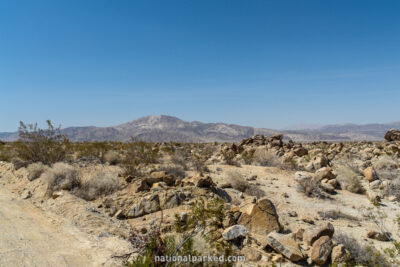 Porcupine Wash in Joshua Tree National Park in California