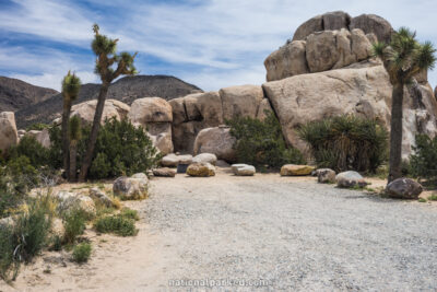 Ryan Campground in Joshua Tree National Park in California