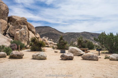 Ryan Campground in Joshua Tree National Park in California