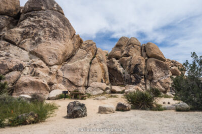 Ryan Campground in Joshua Tree National Park in California