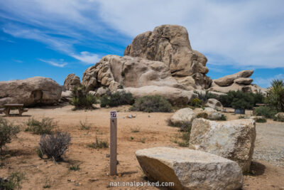 Ryan Campground in Joshua Tree National Park in California