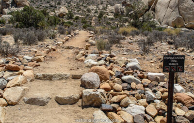 Ryan Mountain Trail in Joshua Tree National Park in California