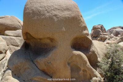 Skull Rock in Joshua Tree National Park in California