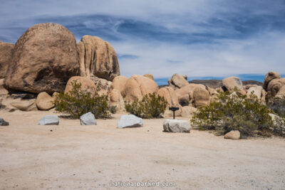 White Tank Campground in Joshua Tree National Park in California