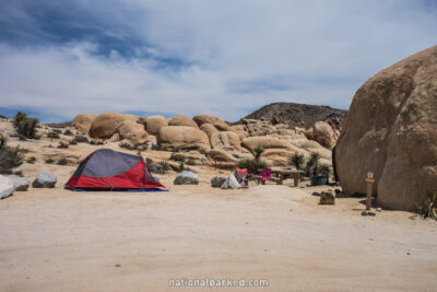 White Tank Campground in Joshua Tree National Park in California