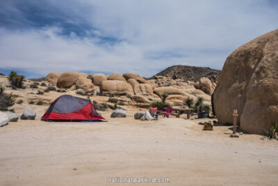 White Tank Campground in Joshua Tree National Park in California