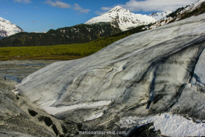 Exit Glacier in Kenai Fjords National Park in Alaska