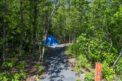 Exit Glacier Campground in Kenai Fjords National Park in Alaska