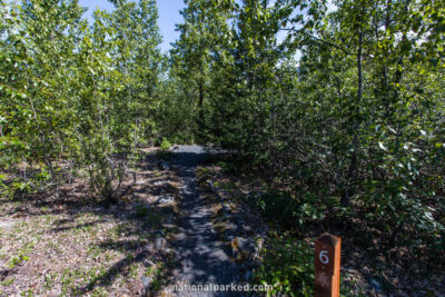 Exit Glacier Campground in Kenai Fjords National Park in Alaska