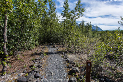 Exit Glacier Campground in Kenai Fjords National Park in Alaska