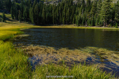 Cold Boiling Lake in Lassen Volcanic National Park in California