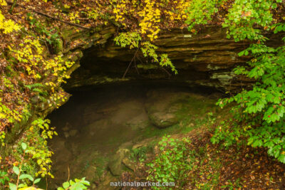 Sand Cave Trail in Mammoth Cave National Park in Kentucky