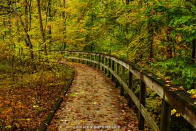 Sand Cave Trail in Mammoth Cave National Park in Kentucky