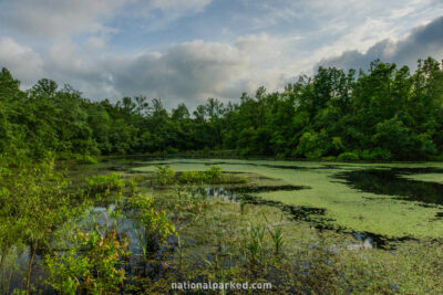 Sloan's Crossing Pond in Mammoth Cave National Park in Kentucky