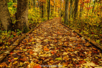 Sloan's Crossing Pond Trail in Mammoth Cave National Park in Kentucky