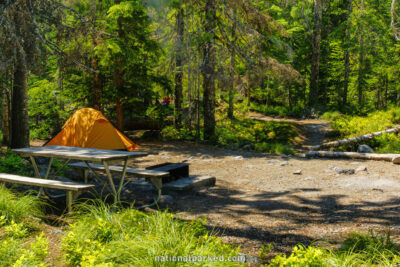 Cougar Rock Campground in Mount Rainier National Park in Washington