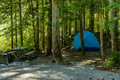 Cougar Rock Campground in Mount Rainier National Park in Washington