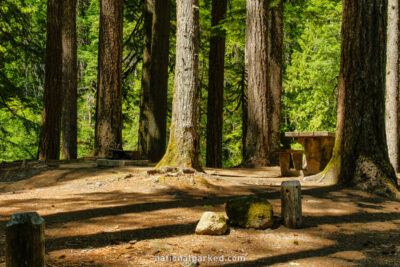 Ohanapecosh Campground in Mount Rainier National Park in Washington